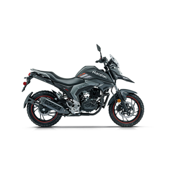 MOTO HAOJUE DL 160 - Imagen 2
